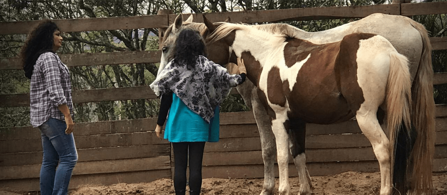 Constelação Sistêmica com cavalos